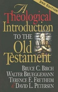 A_Theological_Introduction_2005